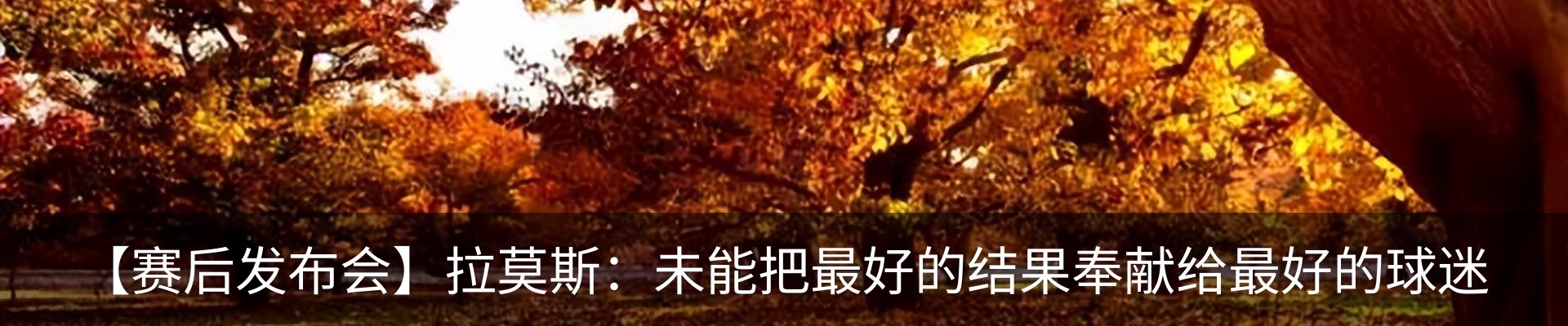 行业资讯