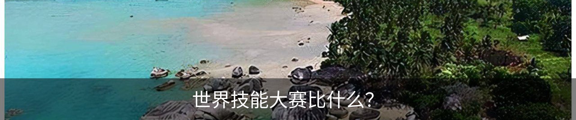 行业资讯