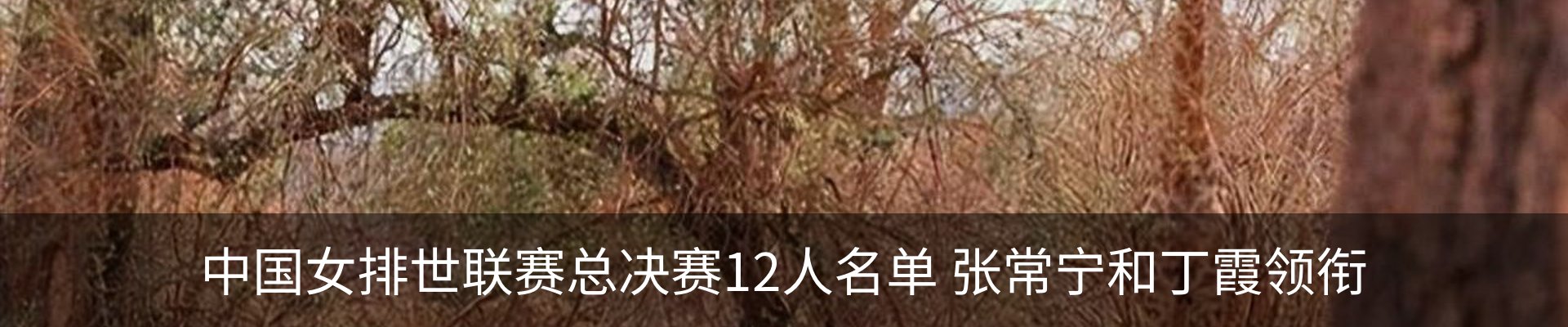 行业资讯