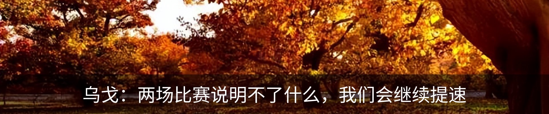 行业资讯