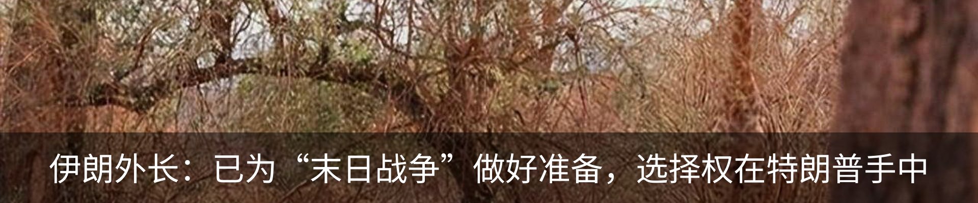 行业资讯
