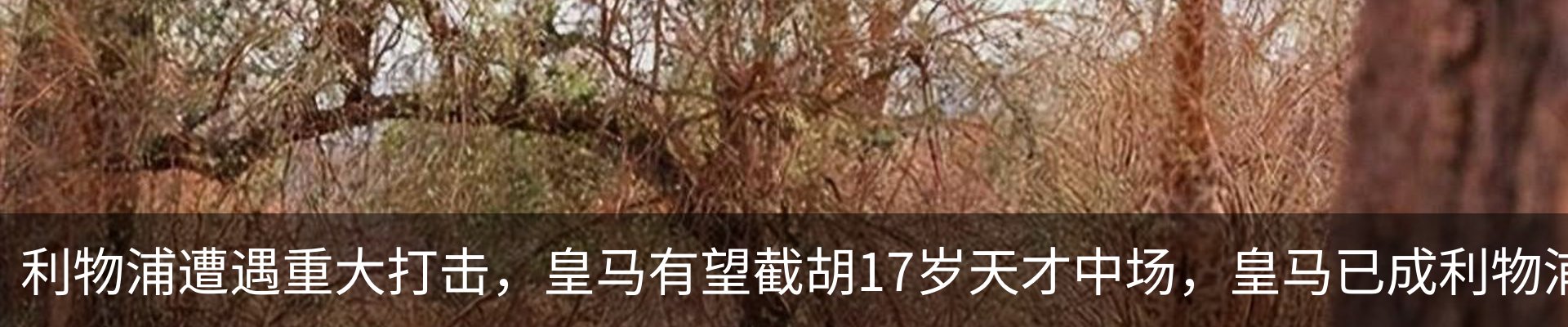 行业资讯
