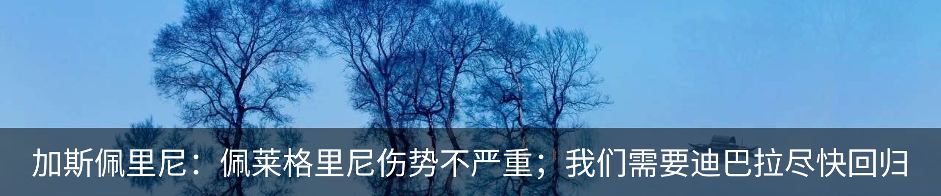 行业资讯