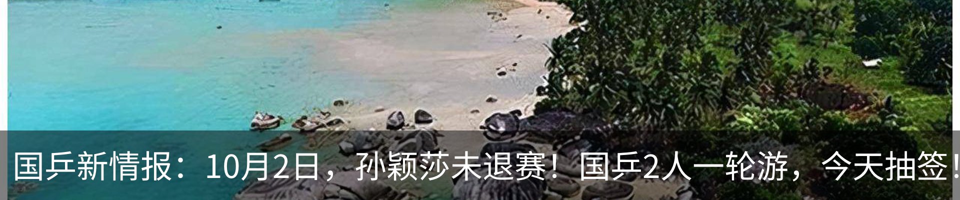 行业资讯