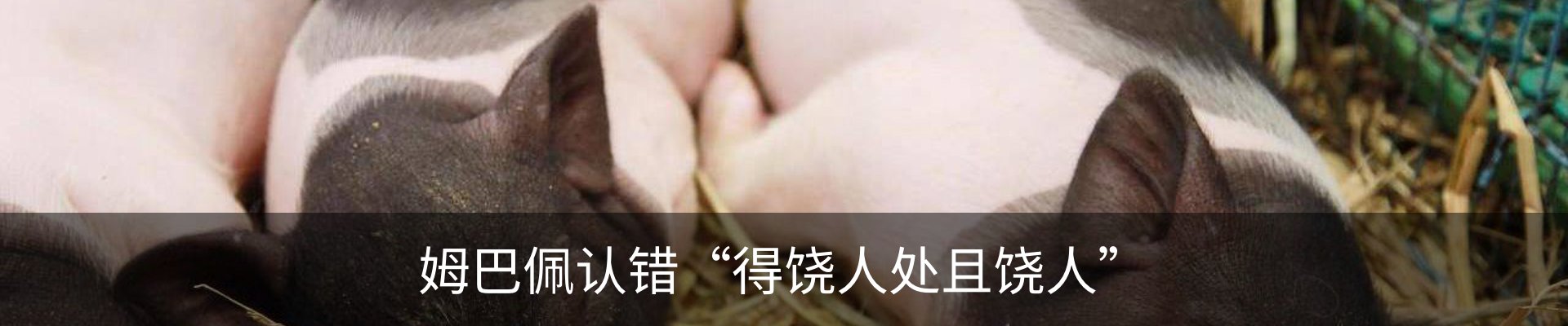 行业资讯
