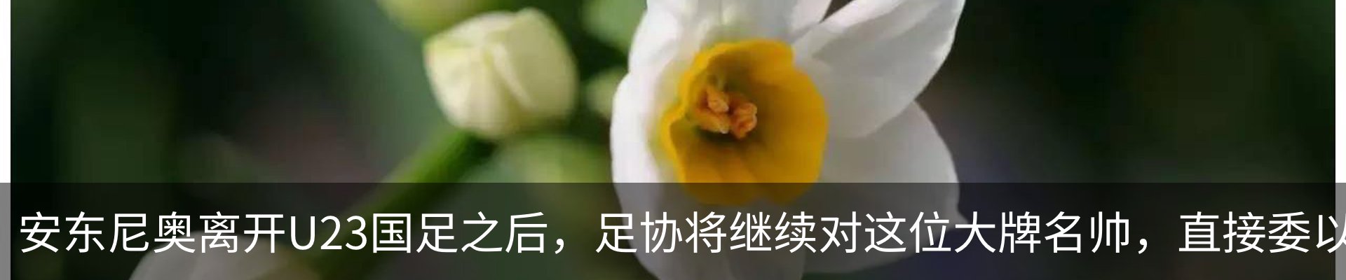 行业资讯