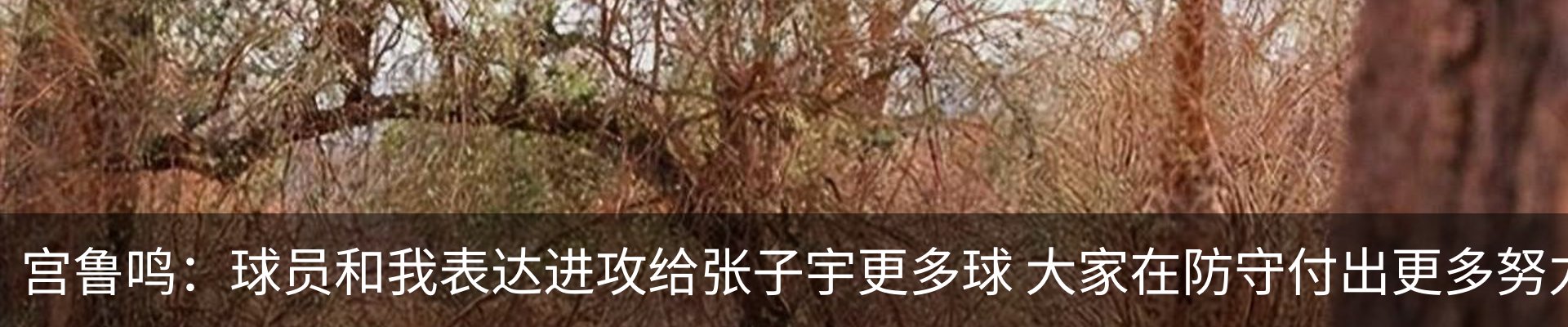 行业资讯