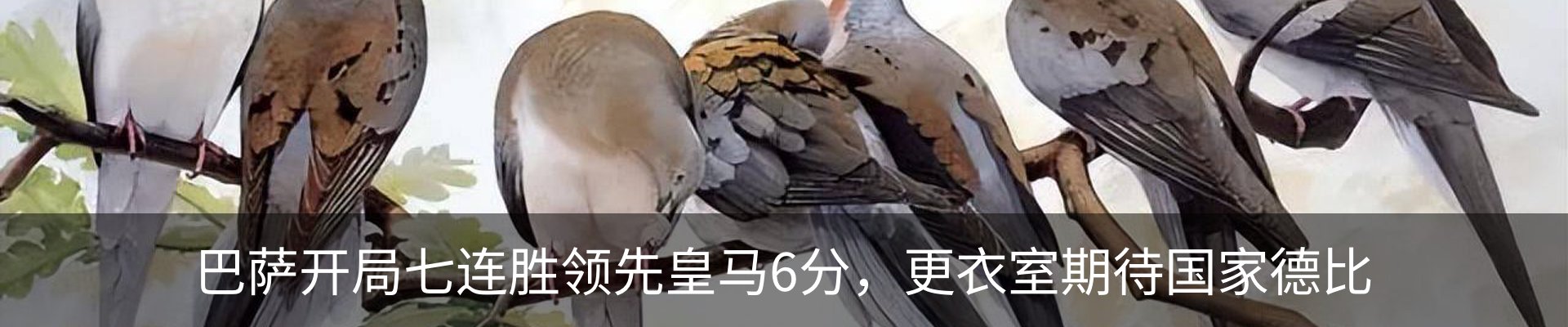 行业资讯