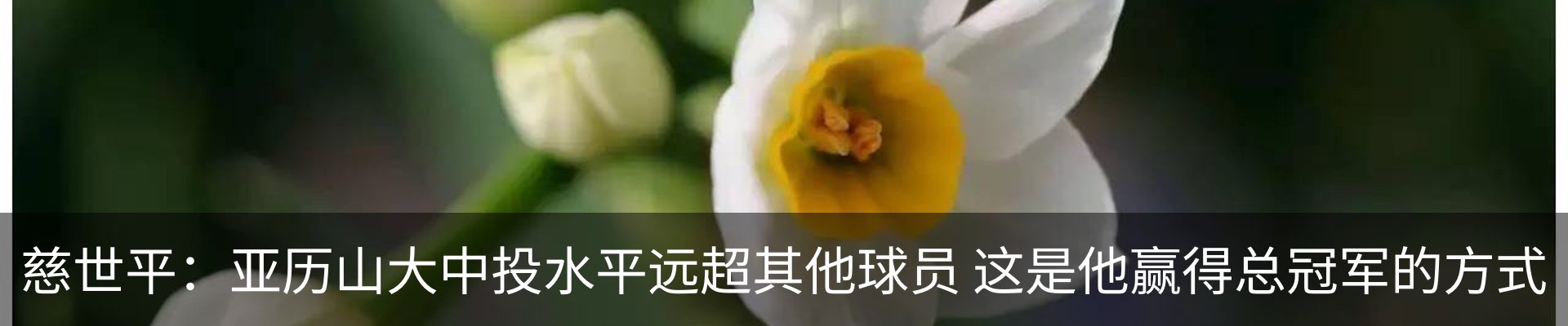 行业资讯