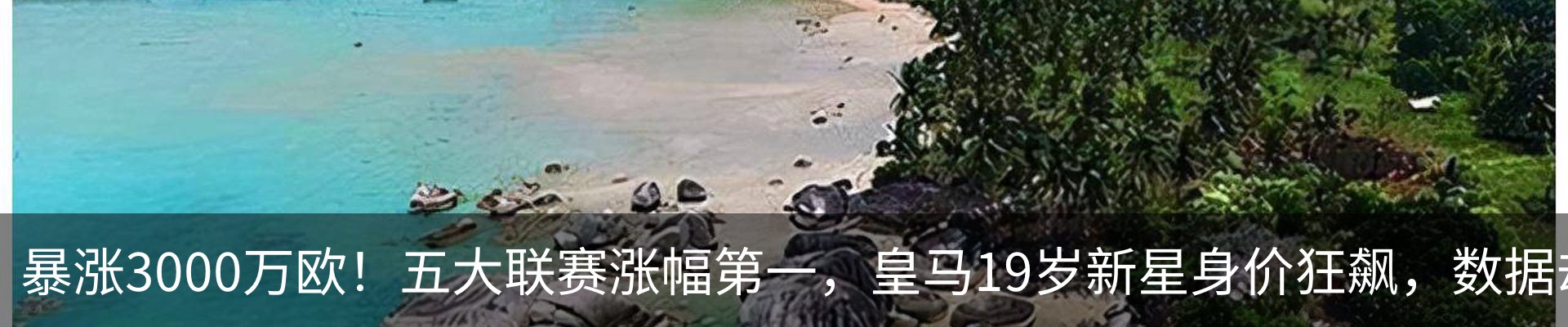行业资讯