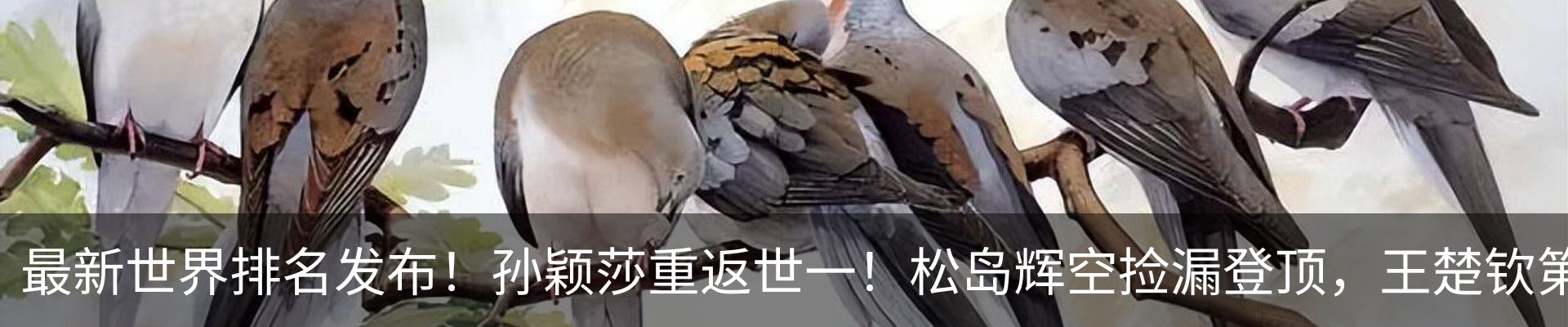 行业资讯