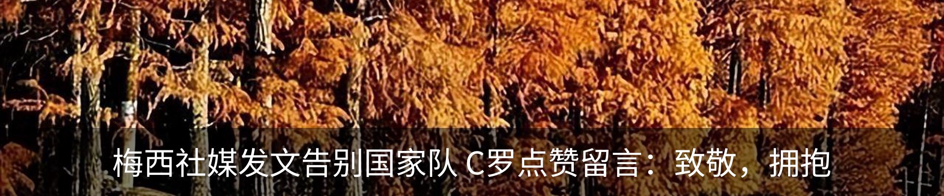 行业资讯