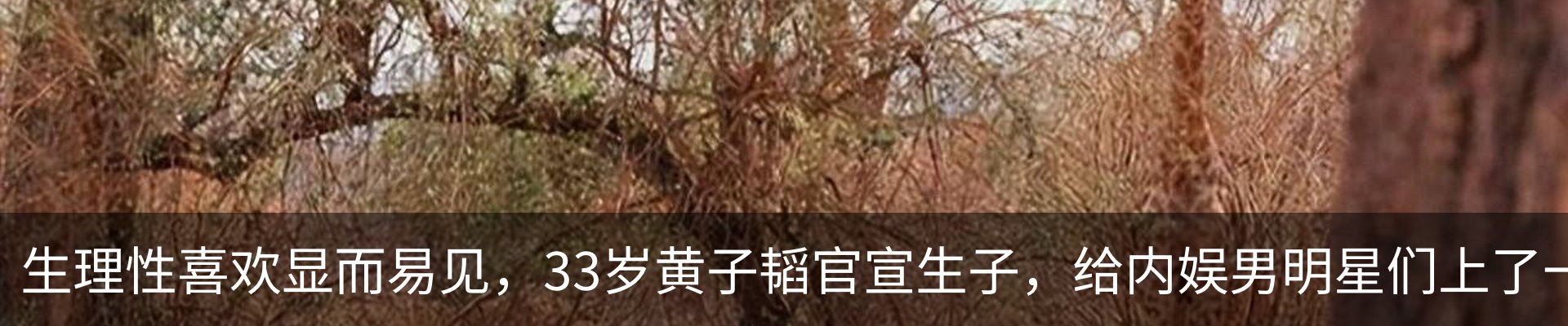 行业资讯