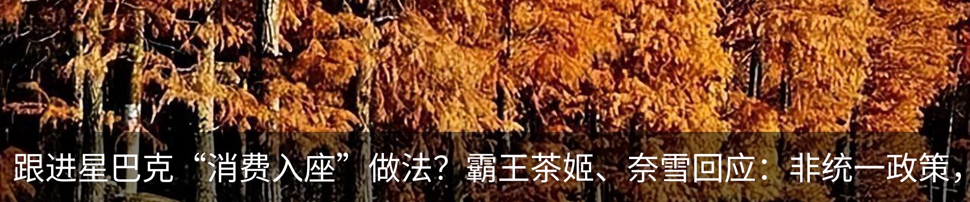 行业资讯