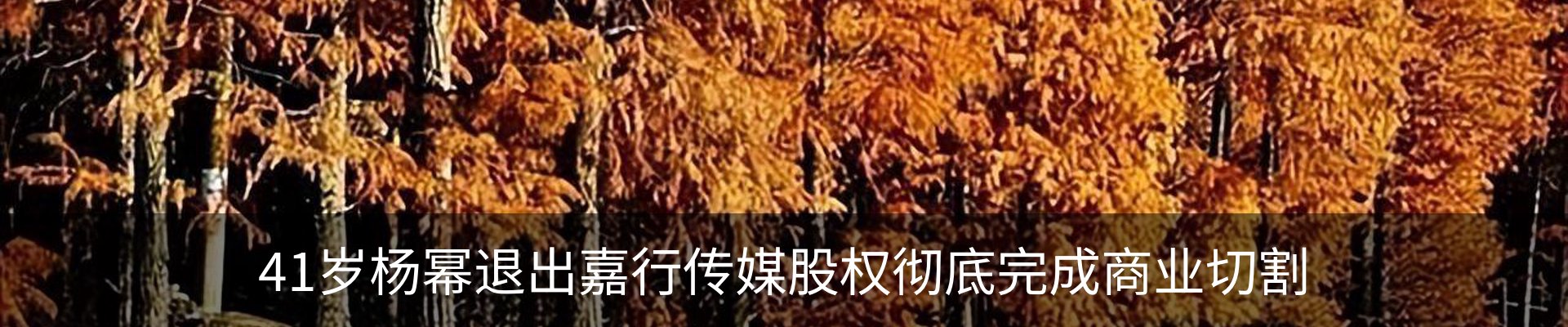 行业资讯