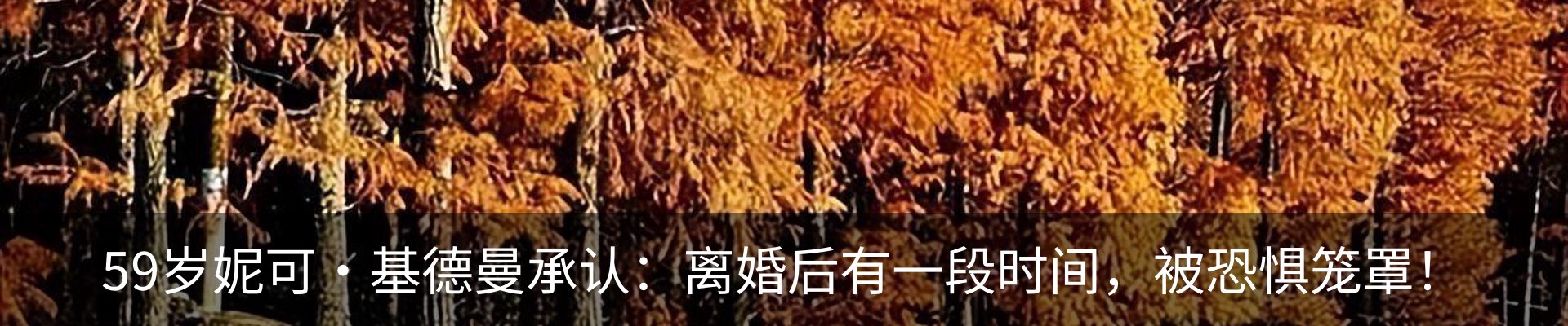 行业资讯