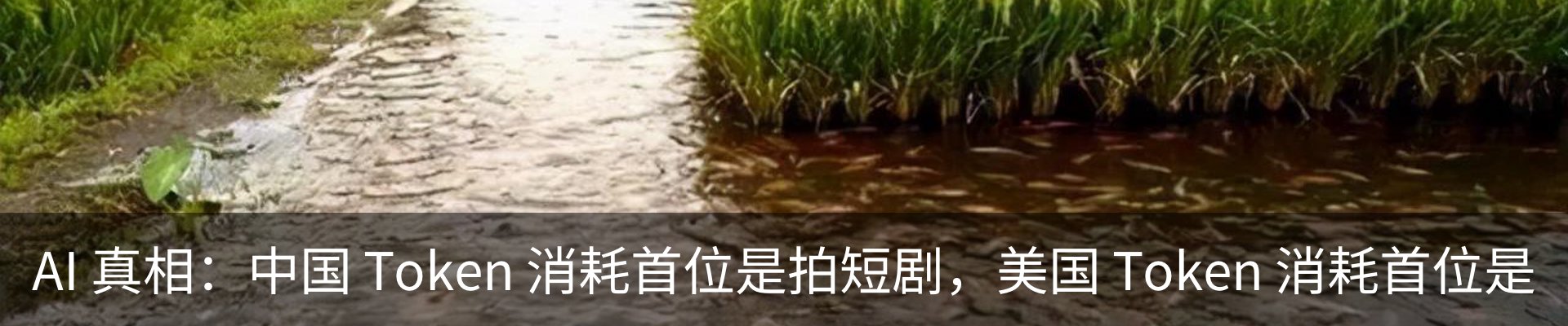 行业资讯