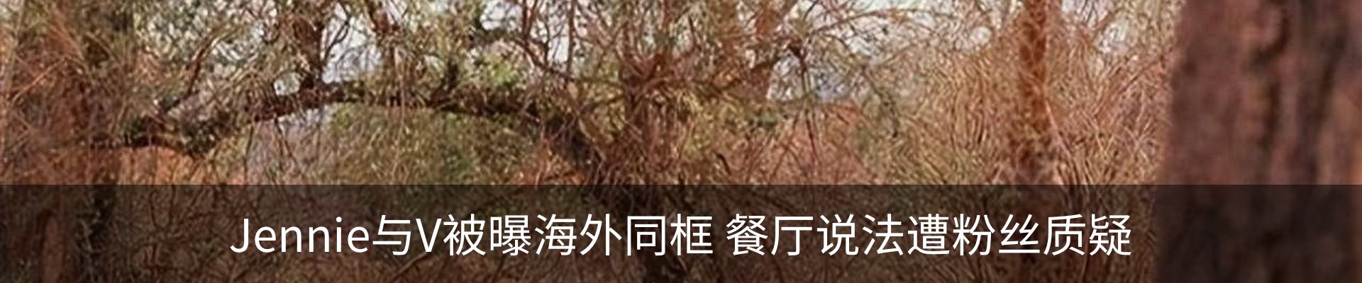 行业资讯